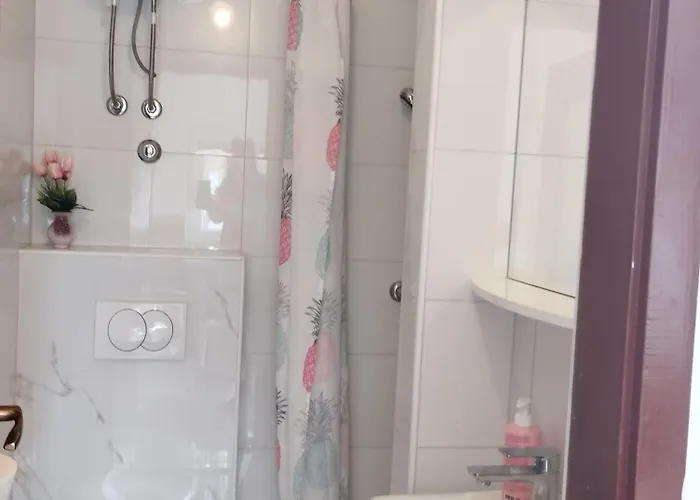 Nikola Apartament